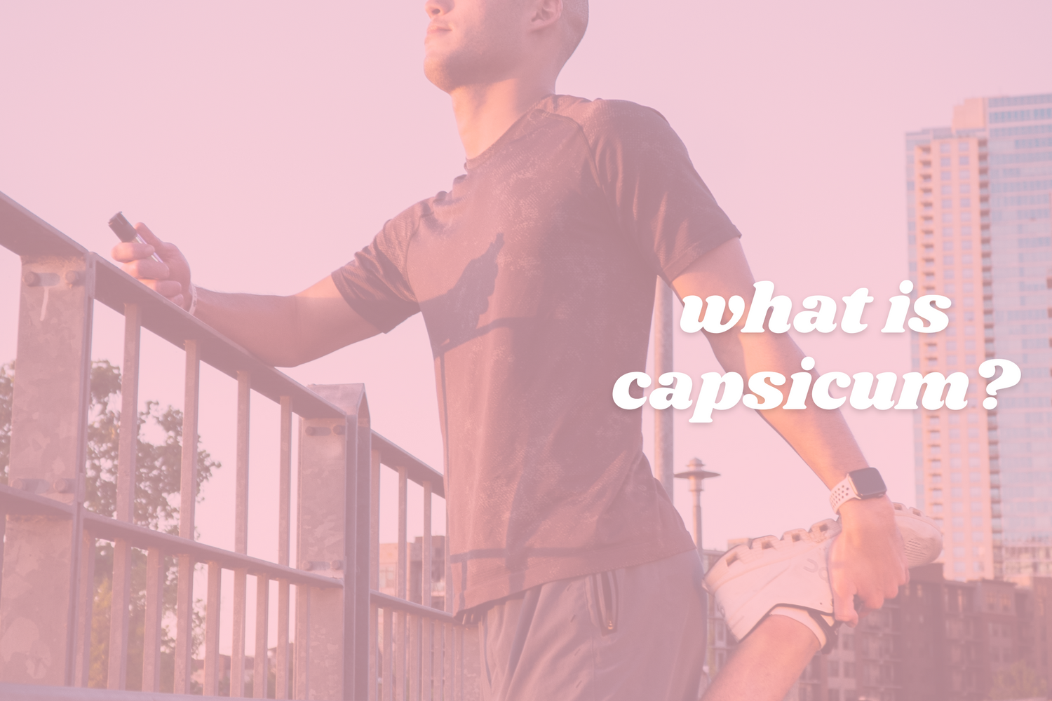 Capsicum Understanding the Science behind Pepper Spray Safely Self